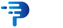PP Link Securities Co., Ltd. logo