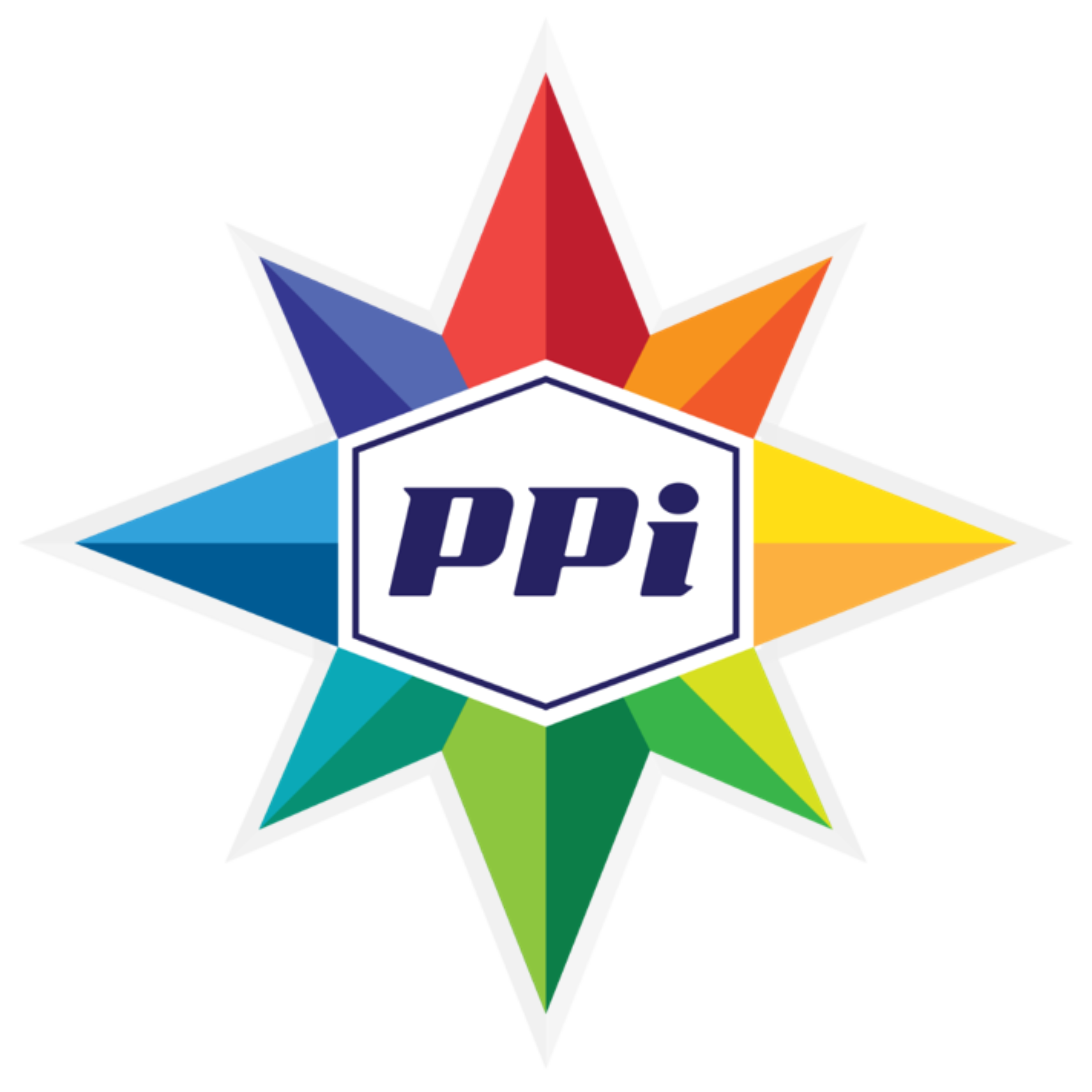 PPI Limited logo