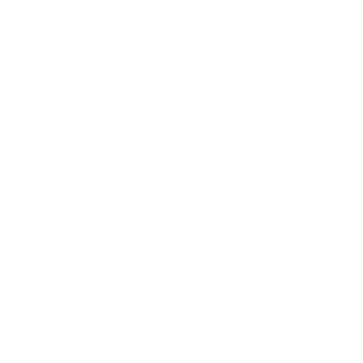 RA Prime Ltd logo