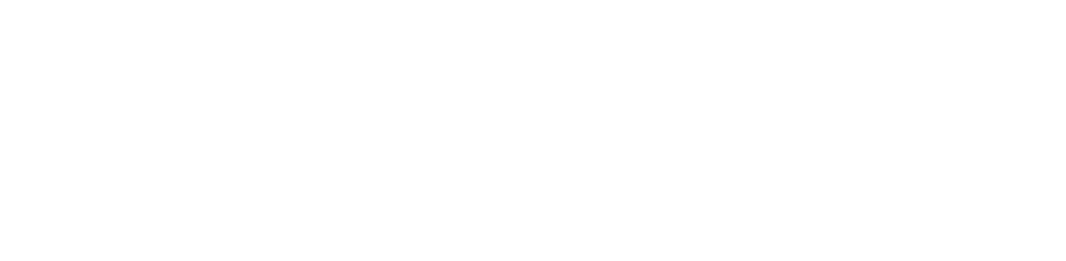 RannForex Limited logo