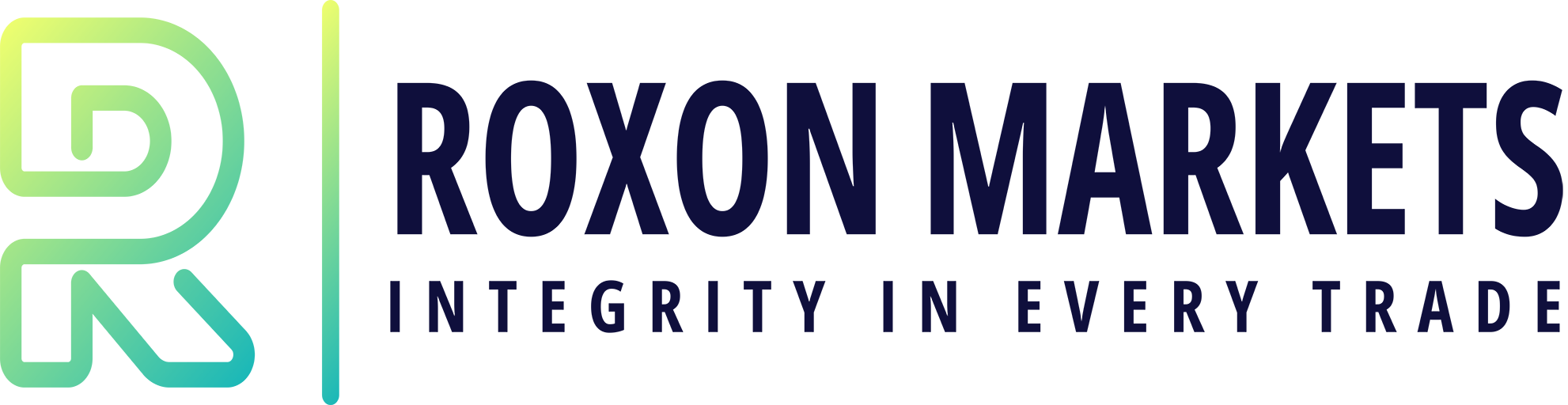 Roxon Markets Ltd. logo