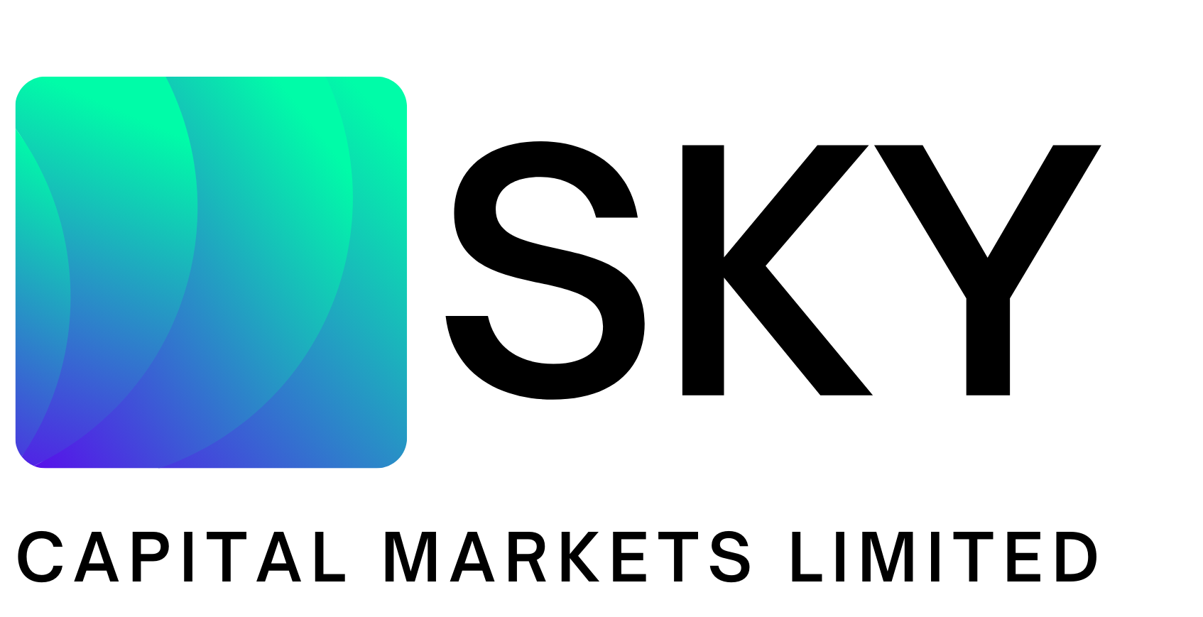 SKY Capital Markets Ltd logo