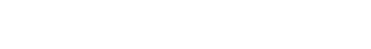 Sky Option IT Solutions logo
