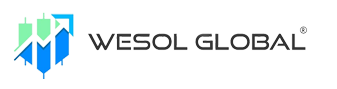 Wesol Global Ltd logo