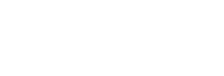 Zyvest Capital Ltd. logo