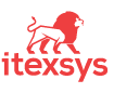 iTexSys Limited logo