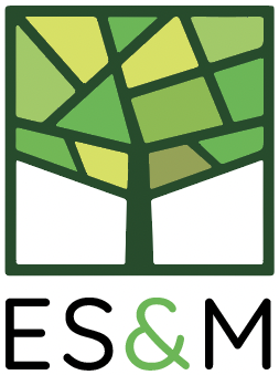 ES Markets Limited logo